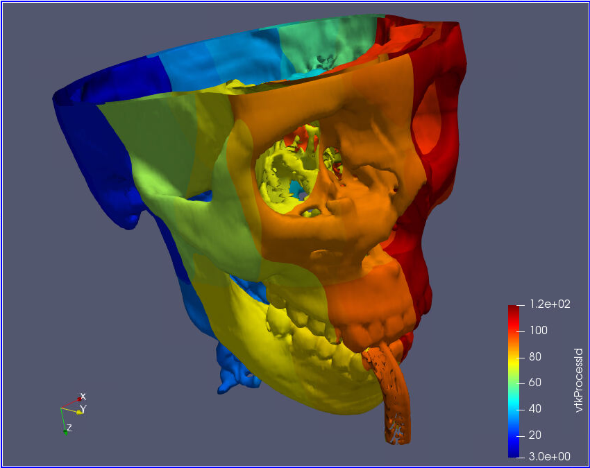A ParaView rendering of a skull colored by process ID number