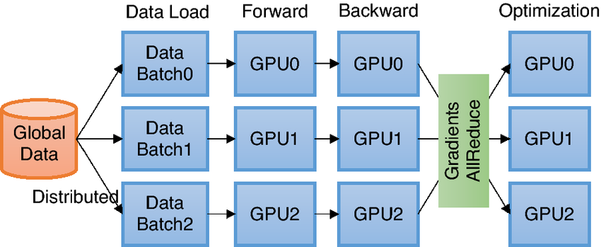 Overview of DDP training
