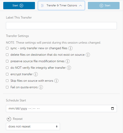 Screen shot of the Globus transfer options panel.