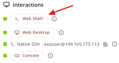 The Web Shell item in an instance's 'Interactions' panel