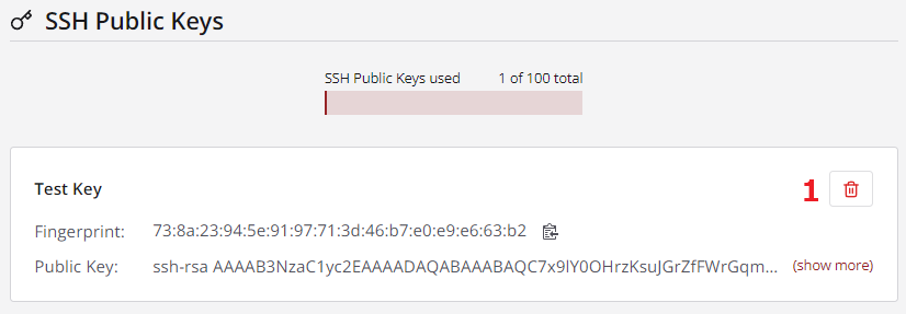 The SSH Public Keys view displaying the key that has been uploaded