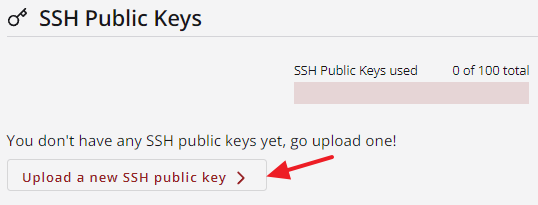 The SSH Public Keys dashboard view