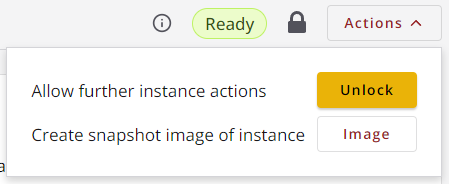The lock icon and Actions menu of a locked instance