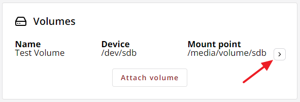 An instance's Volumes summary with the Details button highlighted