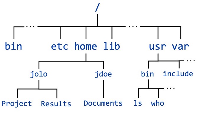 Filesystem Tree Structure with the root at the top and various default directories at the second level as described below