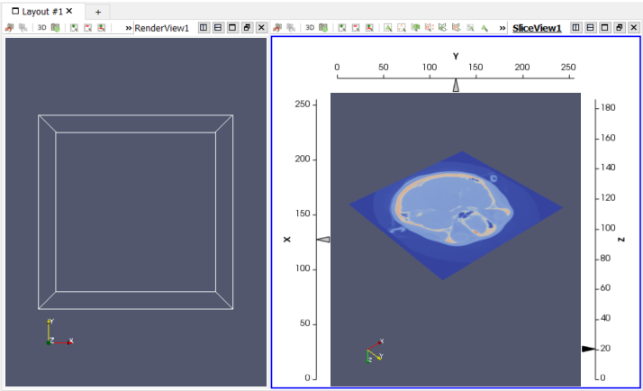 A ParaView layout containing a Render View and a modified Slice View