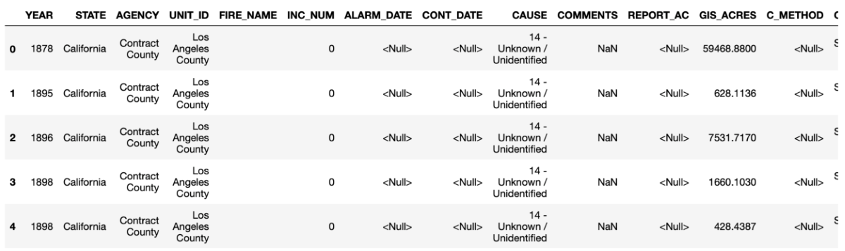 Head of the wildfire DataFrame