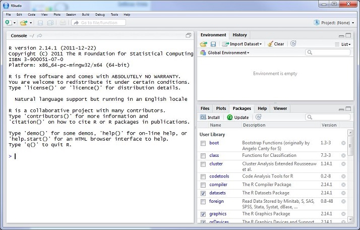 RStudio Interface