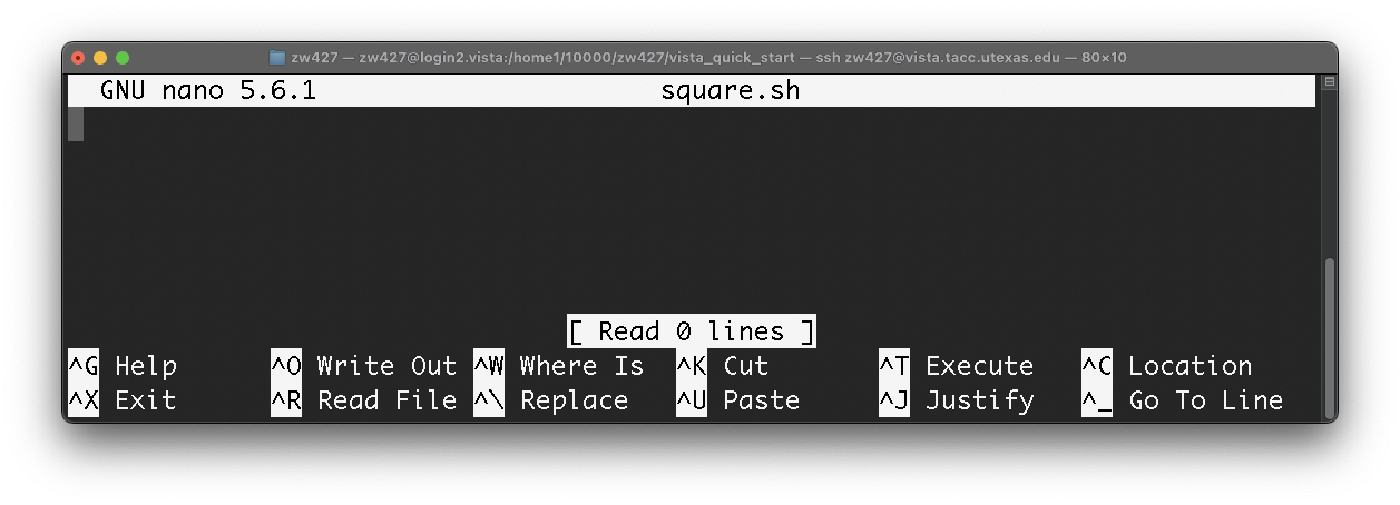 nano command screenshot